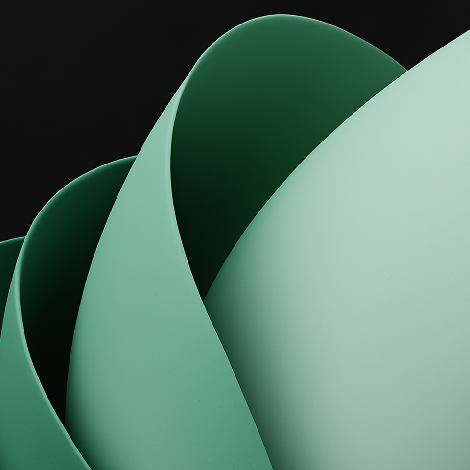 Risk Assessment, Claims Automation, and Fraud Detection